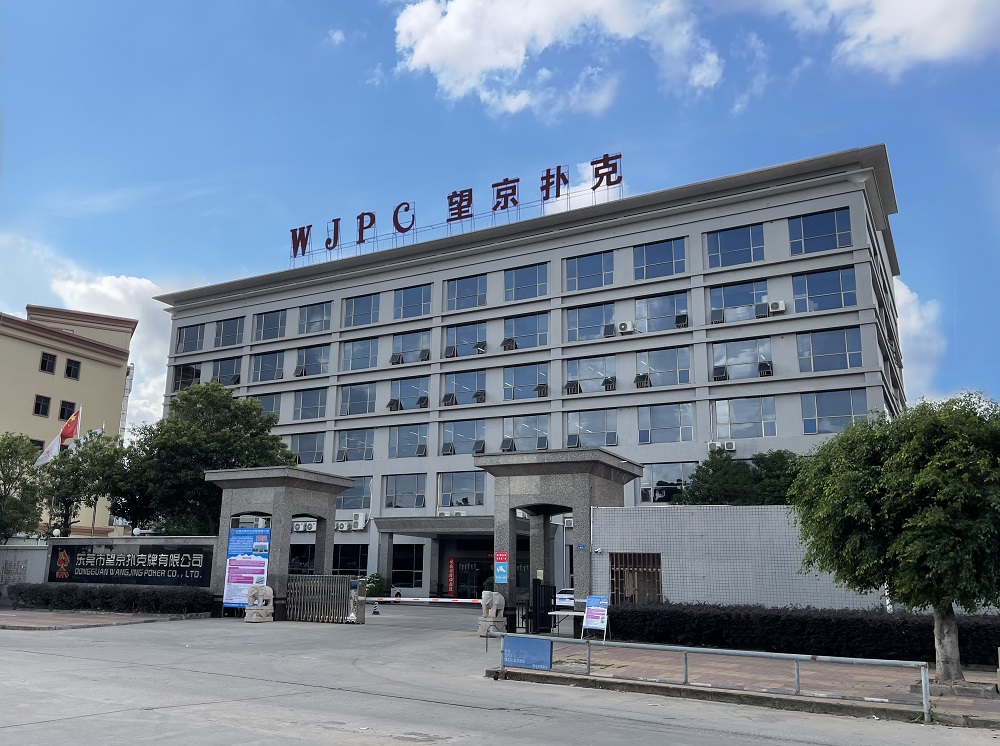 公司：以创新与实力引领卡牌行业发展瓦力游戏试玩广东望京卡牌科技有限(图6)