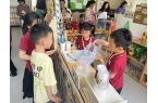 教集团金屿海岸幼儿园开展家长半日开放活动